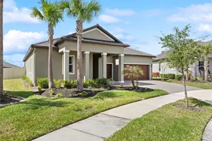 31875 Magna Gulf Loop, San Antonio, FL 33576 - Photo 22
