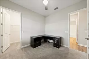 31875 Magna Gulf Loop, San Antonio, FL 33576 - Photo 38