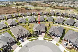 31875 Magna Gulf Loop, San Antonio, FL 33576 - Photo 76