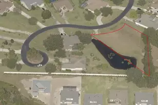 19915 Dolores Ann Ct, Lutz, FL 33549 - Photo 1