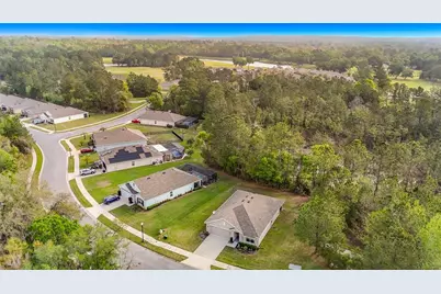 5274 Diantha Way, Brooksville, FL 34604 - Photo 2