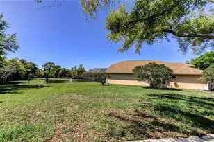10002 Oasis Palm Dr, Tampa, FL 33615 - Photo 62