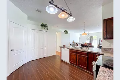 10310 Birdwatch Drive, Tampa, FL 33647 - Photo 14