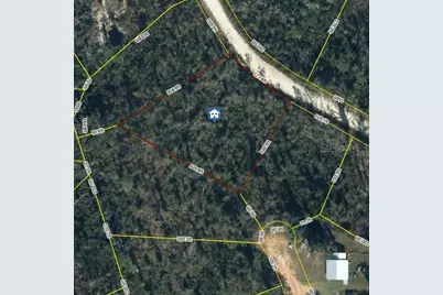 Anderson Drive, Alford, FL 32420 - Photo 1