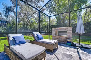 14712 Fishhawk Preserve Dr, Lithia, FL 33547 - Photo 52