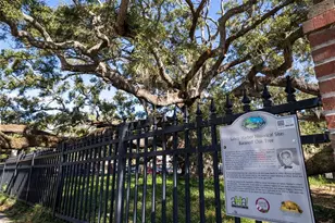 244 Iron Age St, Safety Harbor, FL 34695 - Photo 24