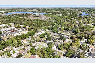 1310 Country Elm Court, Lutz, FL 33549 - Photo 30