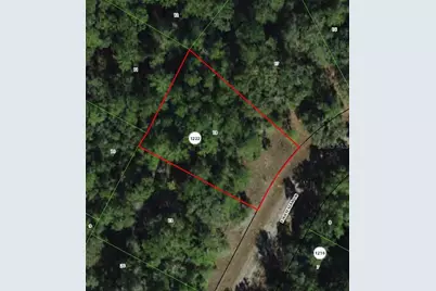 8518 N Escobar Road, Dunnellon, FL 34434 - Photo 1