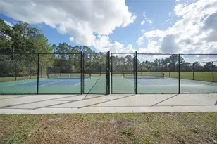 14330 Moon Flower Dr, Tampa, FL 33626 - Photo 42