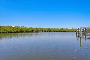 916 Seagrape Dr, Ruskin, FL 33570 - Photo 54