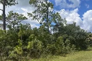 10194 Yellow Frog Ave, Weeki Wachee, FL 34614 - Photo 1