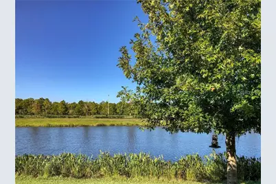 1941 Milkweed Trace, Lutz, FL 33558 - Photo 18