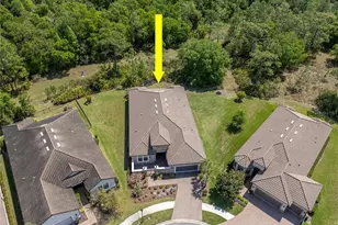 20003 Umbria Hill Dr, Tampa, FL 33647 - Photo 2