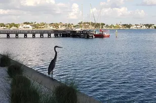 4900 Brittany Dr S, Saint Petersburg, FL 33715 - Photo 24