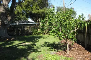 1479 Ruth Rd, Dunedin, FL 34698 - Photo 44