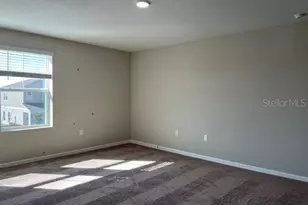 34137 Scarlet Sage Ct, Wesley Chapel, FL 33545 - Photo 16