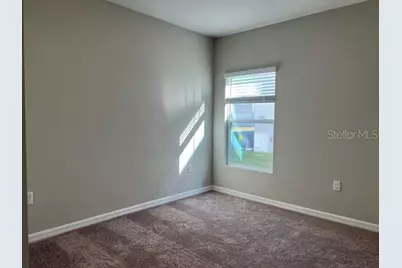 34137 Scarlet Sage Court, Wesley Chapel, FL 33545 - Photo 30