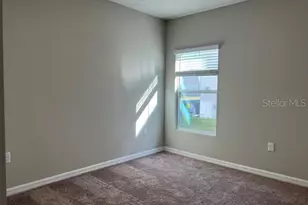 34137 Scarlet Sage Ct, Wesley Chapel, FL 33545 - Photo 30