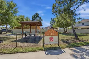 1695 Ludington Ave, Wesley Chapel, FL 33543 - Photo 66