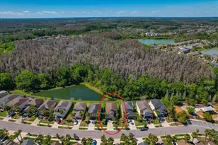 1695 Ludington Ave, Wesley Chapel, FL 33543 - Photo 60