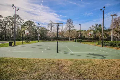 3960 Mermoor Drive, Palm Harbor, FL 34685 - Photo 48