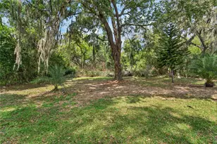 5502 Peach Ave, Seffner, FL 33584 - Photo 46