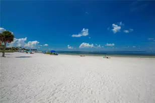1640 Countrywood St, Tarpon Springs, FL 34689 - Photo 50