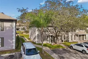 5182 Sunridge Palms Dr, Tampa, FL 33617 - Photo 72