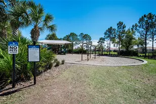 11922 Frost Aster Dr, Riverview, FL 33579 - Photo 76