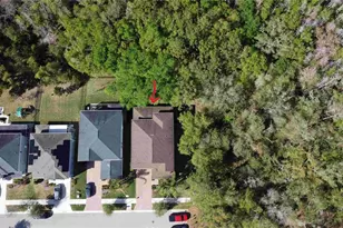 6220 Windship Ct, Tampa, FL 33647 - Photo 32