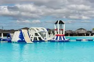 16634 Mooner Plank Cir, Wimauma, FL 33598 - Photo 26