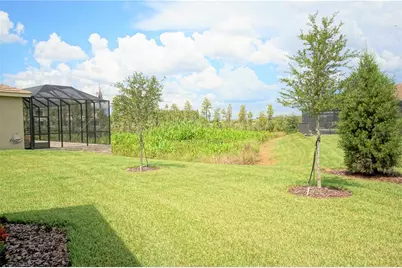 30835 Spruceberry Court, Wesley Chapel, FL 33543 - Photo 28