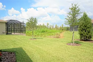 30835 Spruceberry Ct, Wesley Chapel, FL 33543 - Photo 28