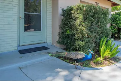 2305 Indigo Drive, Clearwater, FL 33763 - Photo 24