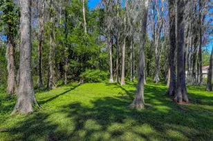 16206 Sagebrush Rd, Tampa, FL 33618 - Photo 28