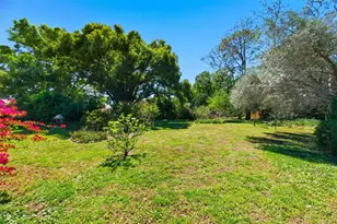 2928 Macalpin Dr S, Palm Harbor, FL 34684 - Photo 36