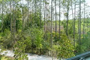 10844 Fowlers Blf Ct, Tampa, FL 33647 - Photo 40