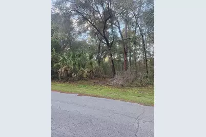 4029 E Walker Street, Inverness, FL 34453 - Photo 8