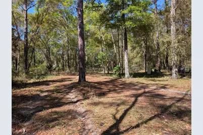 8174 Adrian Drive, Brooksville, FL 34613 - Photo 14