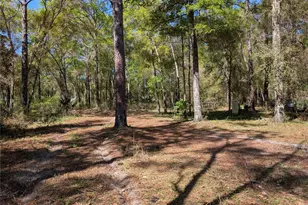 8174 Adrian Dr, Brooksville, FL 34613 - Photo 14