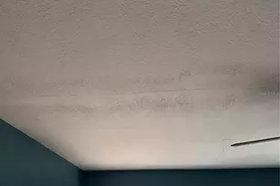 [Address not provided], Tampa, FL 33604 - Photo 24