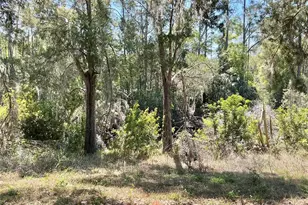 8702 Village Mill Row, Hudson, FL 34667 - Photo 14