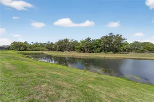 13209 Wildflower Meadow Dr, Riverview, FL 33579 - Photo 8