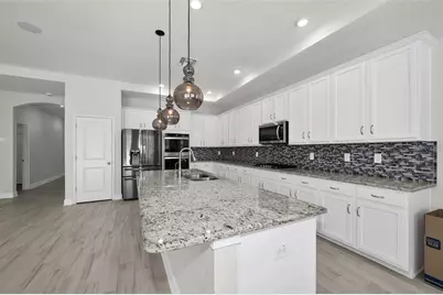 21654 Billowy Jaunt Drive, Land O Lakes, FL 34637 - Photo 12