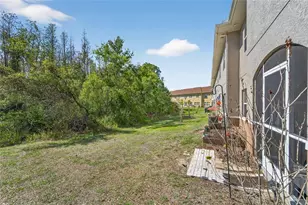 10849 Dragonwood Dr, Tampa, FL 33647 - Photo 12