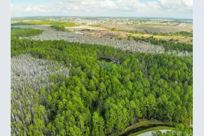 1102 Hidden Palms Drive, Davenport, FL 33897 - Photo 16