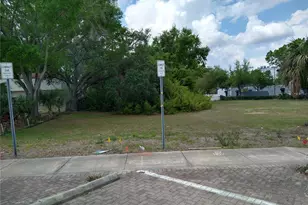 0 St Petersburg Dr E, Oldsmar, FL 34677 - Photo 1