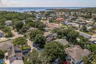14 Baywood Dr, Palm Harbor, FL 34683 - Photo 54