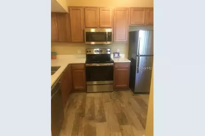 1231 Godavari Way #103, Wesley Chapel, FL 33543 - Photo 4