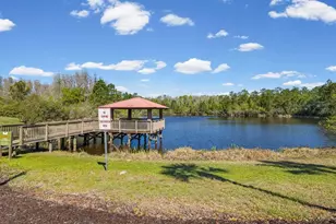 8531 May Port Ct, Land O Lakes, FL 34638 - Photo 58